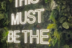 506525689c0bf18dfdba21b6b0dca39c